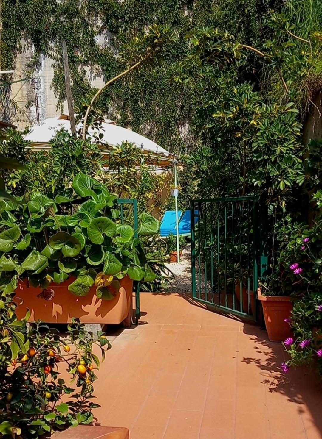 Rosangela Taormina